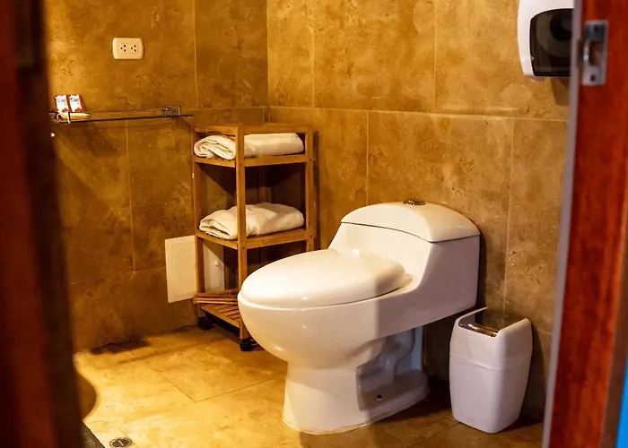Wild Rover Cusco Hostel